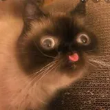 WarmMilkMomma