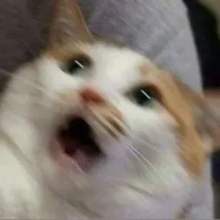 GigglyLittleFawn