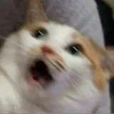 GigglyLittleFawn